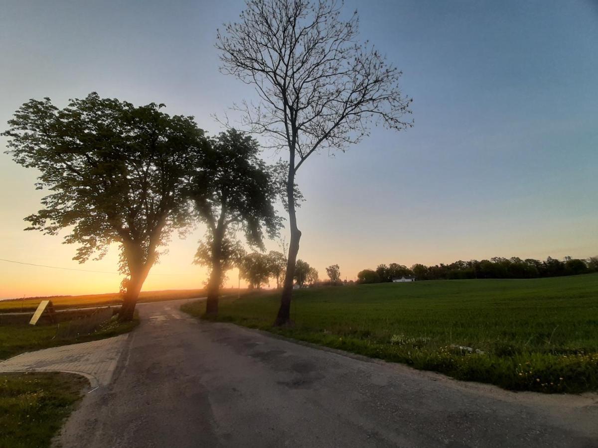 Noclegi Zdzislaw Sieradzki Zbiczno Dış mekan fotoğraf