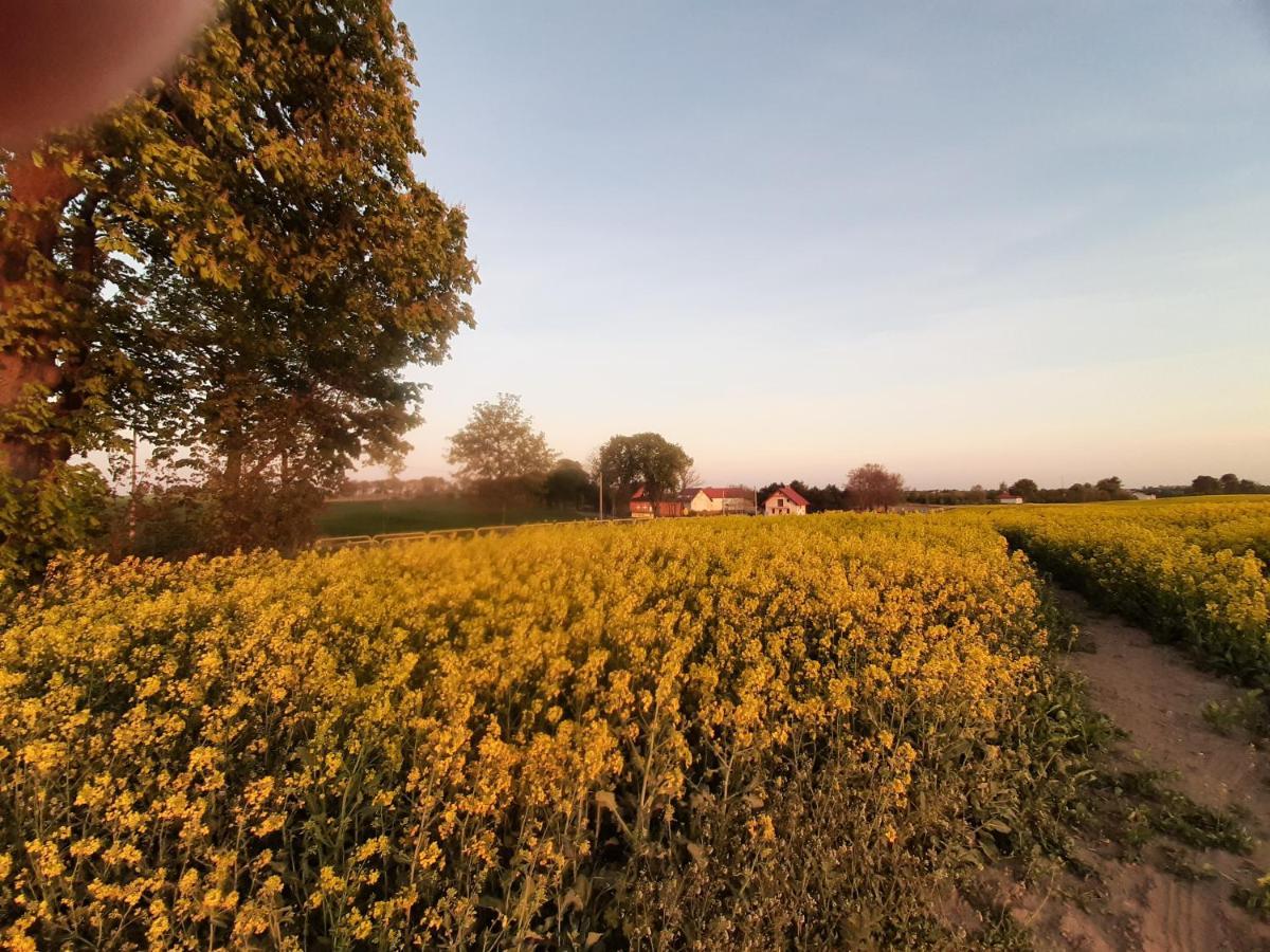 Noclegi Zdzislaw Sieradzki Zbiczno Dış mekan fotoğraf