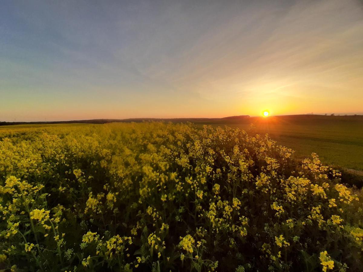 Noclegi Zdzislaw Sieradzki Zbiczno Dış mekan fotoğraf