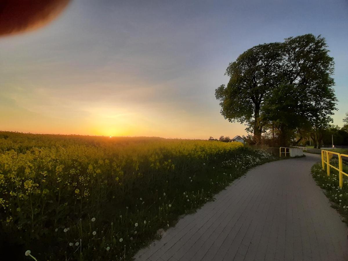 Noclegi Zdzislaw Sieradzki Zbiczno Dış mekan fotoğraf